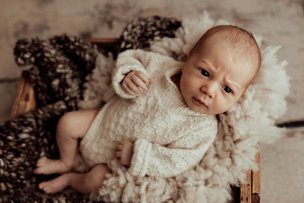 newborn baby family maternity photographer photography photos baby pregnancy pindara gold coast brisbane winni mini tanha upper coomera