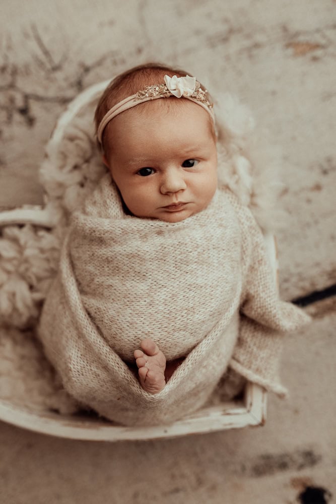 newborn baby family maternity photographer photography photos baby pregnancy pindara gold coast brisbane winni mini tanha upper coomera -20