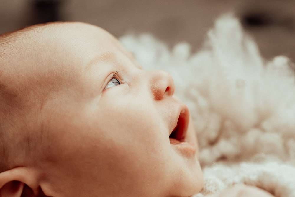 newborn baby family maternity photographer photography photos baby pregnancy pindara gold coast brisbane winni mini tanha upper coomera