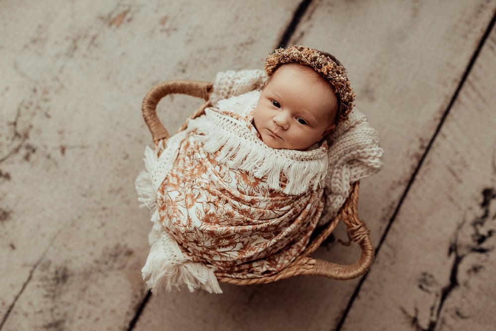newborn baby family maternity photographer photography photos baby pregnancy pindara gold coast brisbane winni mini tanha upper coomera -20