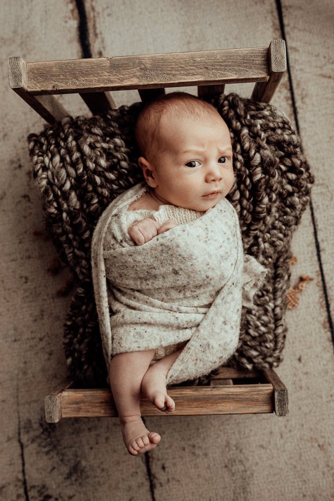 newborn baby family maternity photographer photography photos baby pregnancy pindara gold coast brisbane winni mini tanha upper coomera