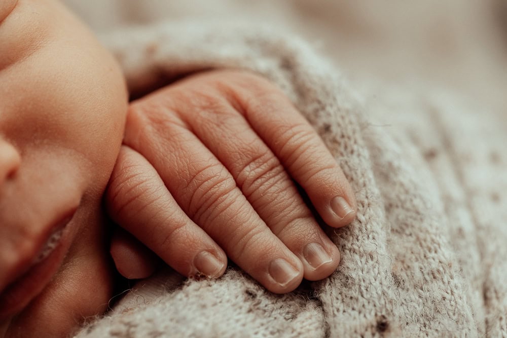 newborn baby family maternity photographer photography photos baby pregnancy pindara gold coast brisbane winni mini tanha upper coomera