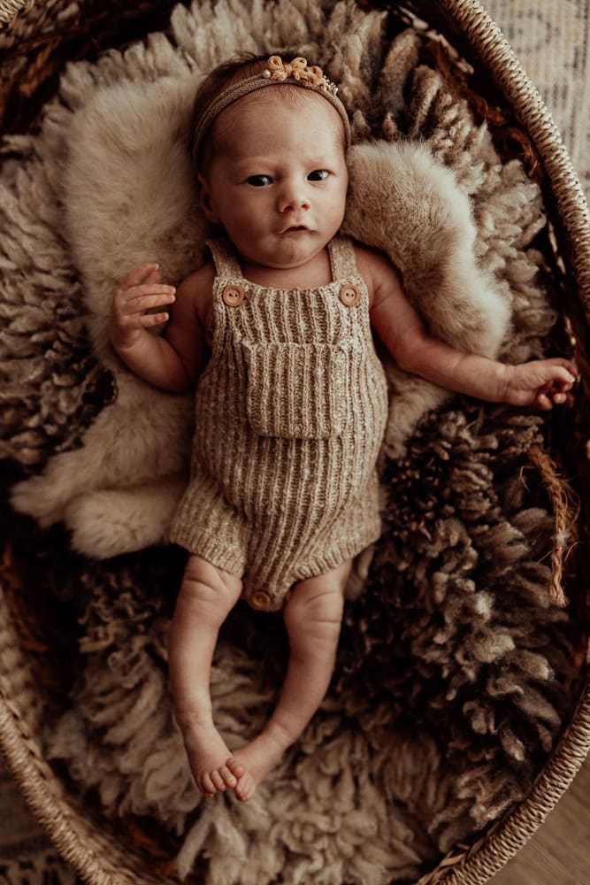 newborn baby family maternity photographer photography photos baby pregnancy pindara gold coast brisbane winni mini tanha upper coomera