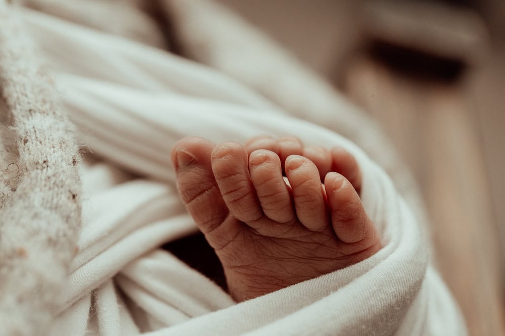 newborn baby family maternity photographer photography photos baby pregnancy pindara gold coast brisbane winni mini tanha upper coomera