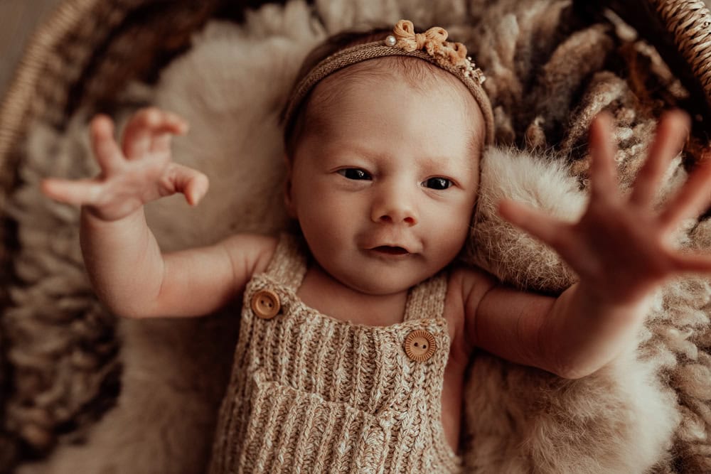 newborn baby family maternity photographer photography photos baby pregnancy pindara gold coast brisbane winni mini tanha upper coomera