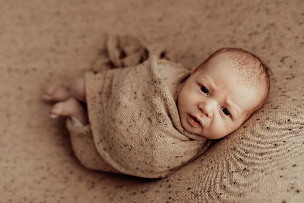 newborn baby family maternity photographer photography photos baby pregnancy pindara gold coast brisbane winni mini tanha upper coomera