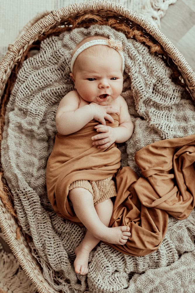 Winni Mini newborn baby family maternity pregnancy photos photographer photography babies pindara mater mothers pregnant pictures sunset studio upper coomera gold coast brisbane