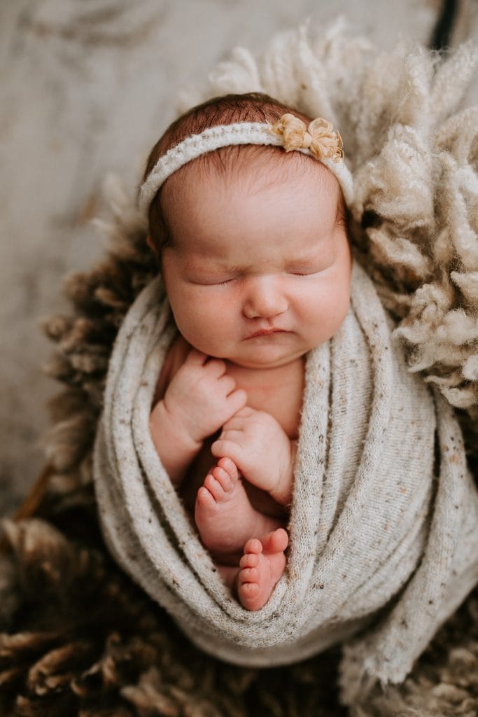 Winni Mini newborn baby family maternity pregnancy photos photographer photography babies pindara mater mothers pregnant pictures sunset studio upper coomera gold coast brisbane