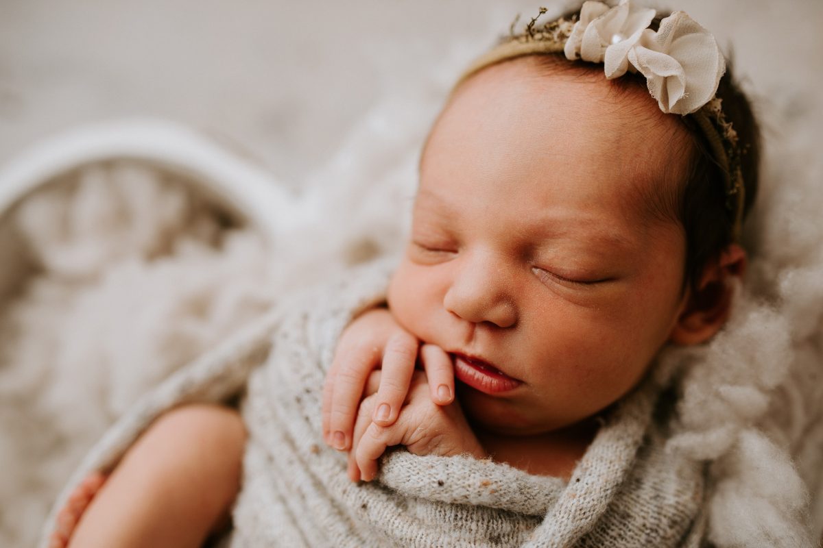 Winni Mini newborn baby family maternity pregnancy photos photographer photography babies pindara mater mothers pregnant pictures sunset studio upper coomera gold coast brisbane-15