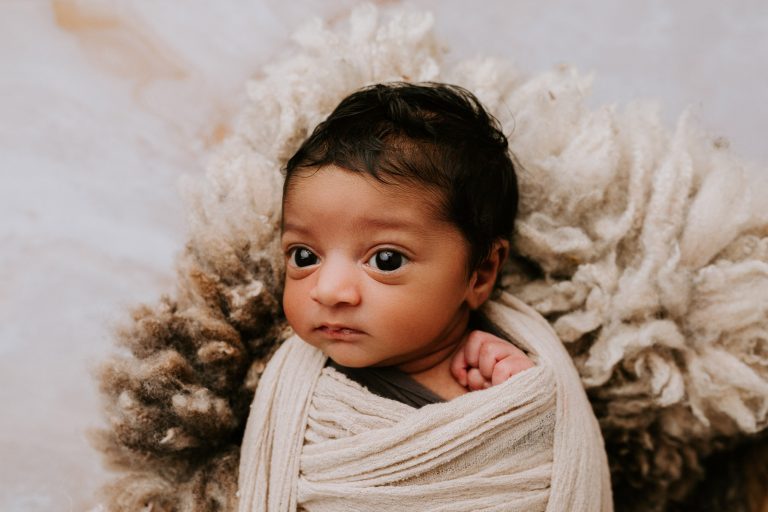 Winni Mini newborn baby family maternity pregnancy photos photographer photography babies pindara mater mothers pregnant pictures sunset studio upper coomera gold coast brisbane