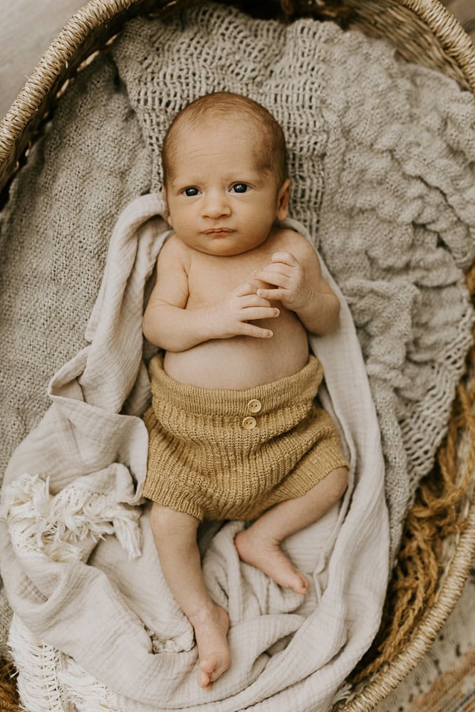 newborn baby maternity pregnancy family photographer photography photos gold coast brisbane Winni & Mini Photography tanha upper coomera pindara