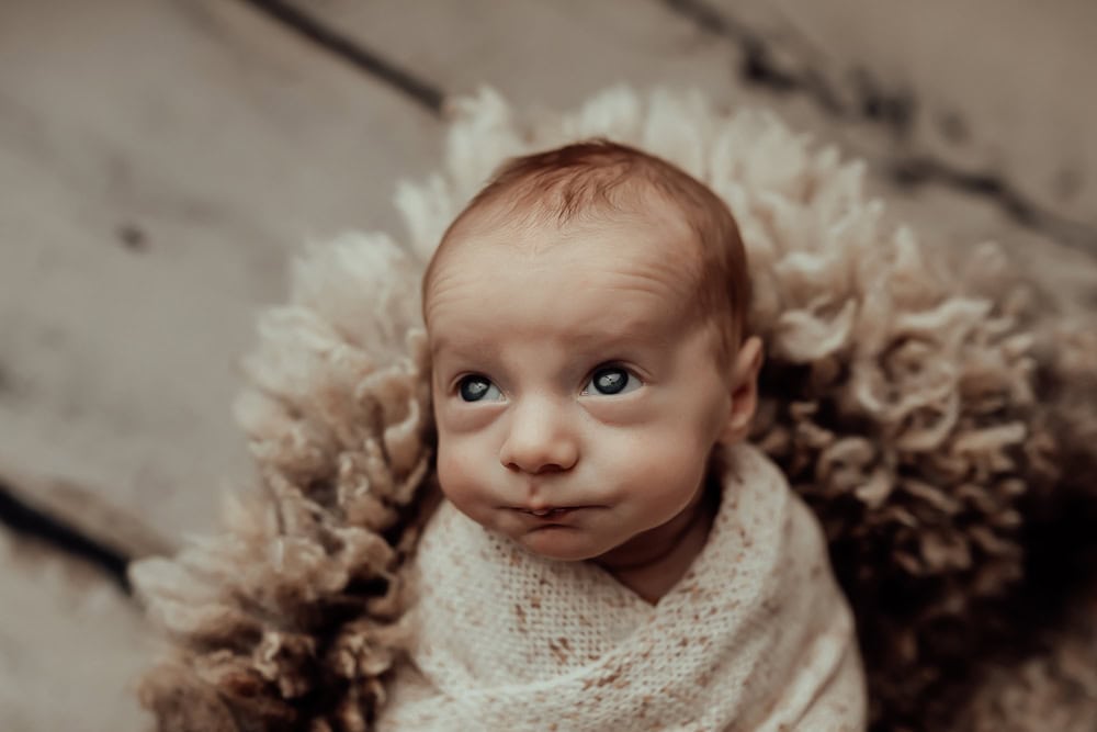 tanha newborn baby family maternity pregnancy photos photography photographer gold coast brisbane pindara babies