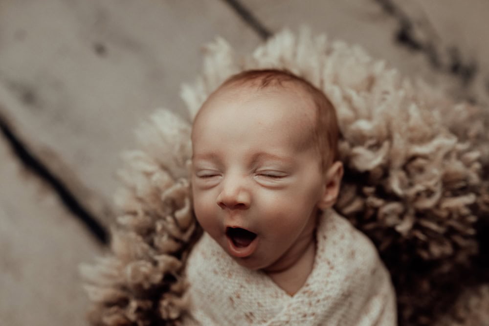 tanha newborn baby family maternity pregnancy photos photography photographer gold coast brisbane pindara babies