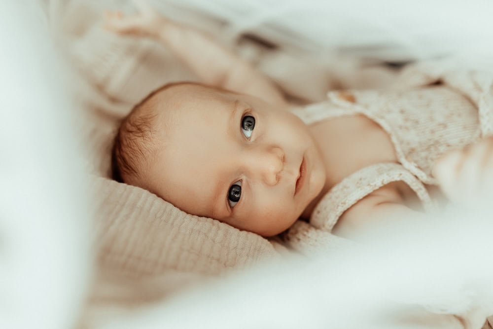 tanha newborn baby family maternity pregnancy photos photography photographer gold coast brisbane pindara babies
