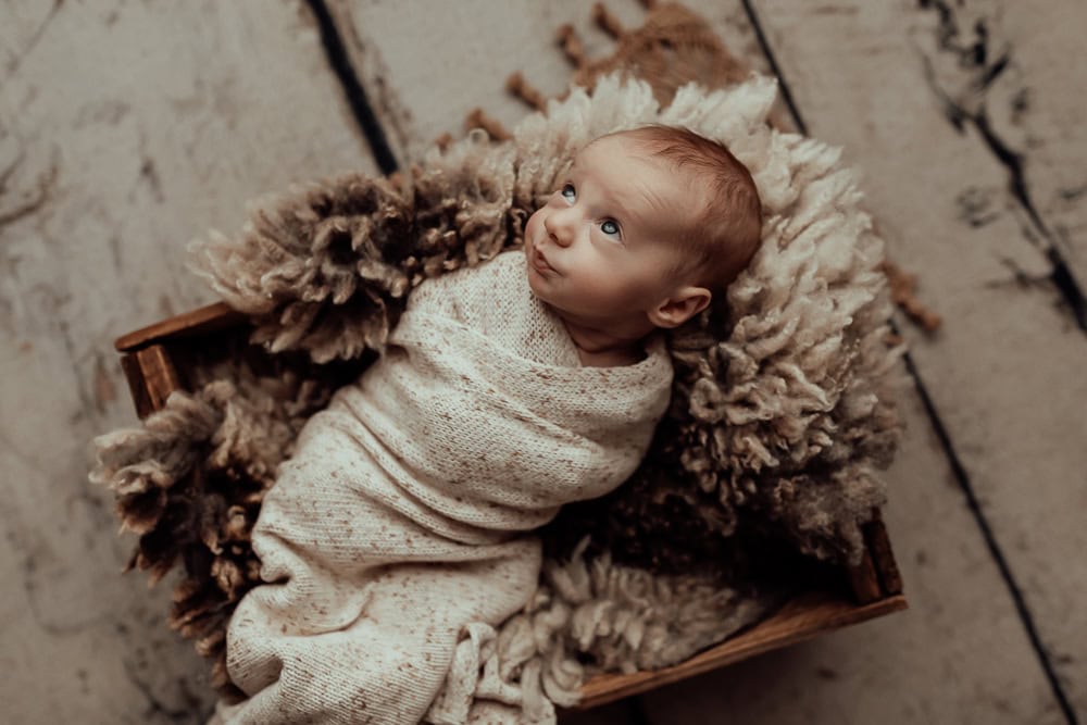 tanha newborn baby family maternity pregnancy photos photography photographer gold coast brisbane pindara babies
