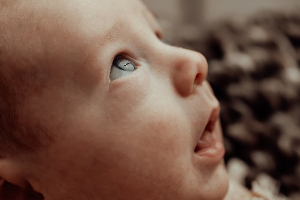tanha newborn baby family maternity pregnancy photos photography photographer gold coast brisbane pindara babies