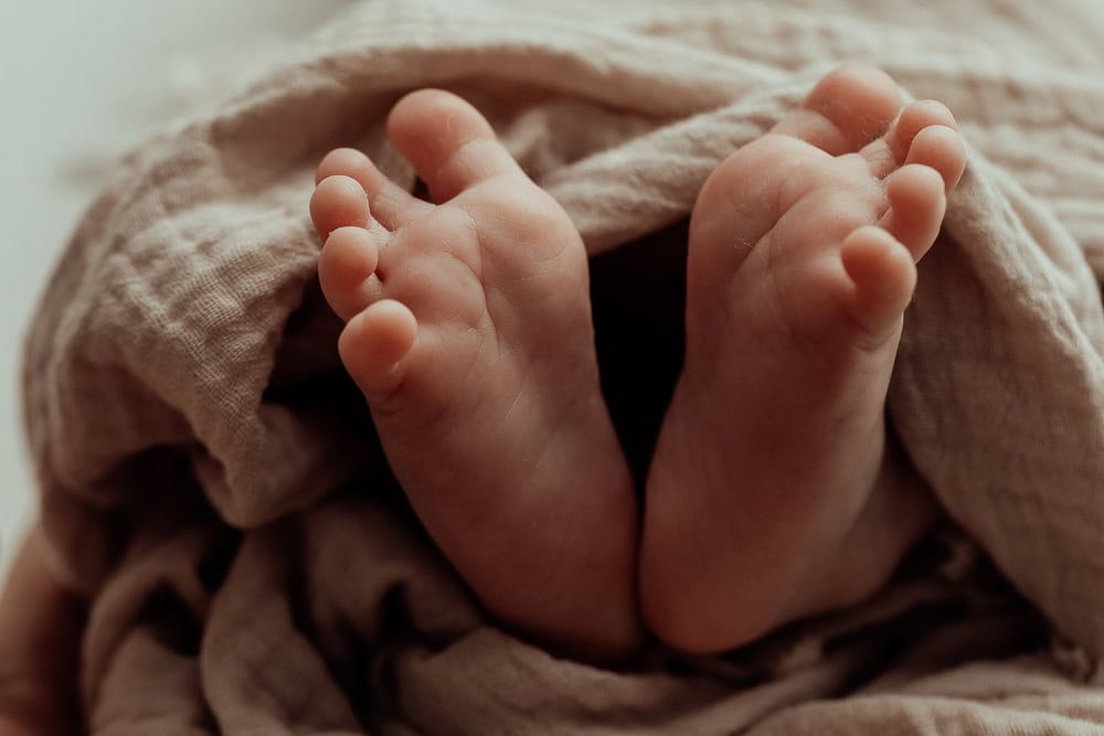 tanha newborn baby family maternity pregnancy photos photography photographer gold coast brisbane pindara babies