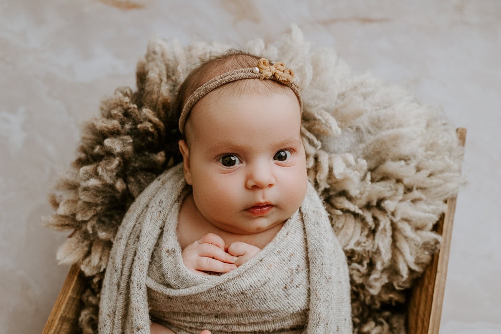 newborn baby maternity pregnancy family photographer photography photos gold coast brisbane Winni & Mini Photography tanha upper coomera pindara