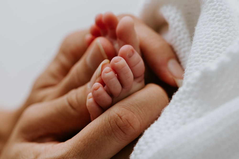 newborn baby family child pregnancy maternity birth toddler photos photography photographer photographs gold coast brisbane pindara mater mothers babies infant Winni & Mini Photography tanha