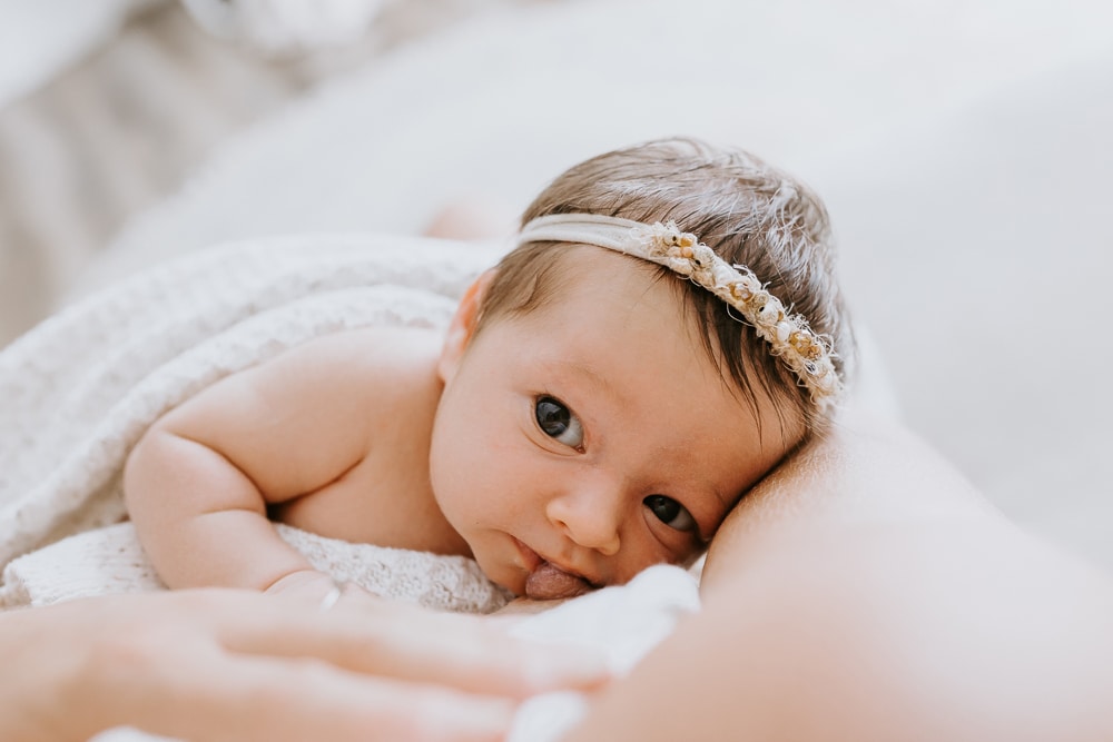 newborn baby family child pregnancy maternity birth toddler photos photography photographer photographs gold coast brisbane pindara mater mothers babies infant Winni & Mini Photography tanha
