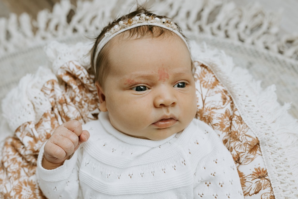 Newborn baby family maternity pregnancy photos photography photographer gold coast brisbane tanha-1