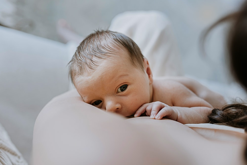 Newborn baby maternity pregnancy gold coast brisbane photogtrapher photography photos baby babies children Tanha