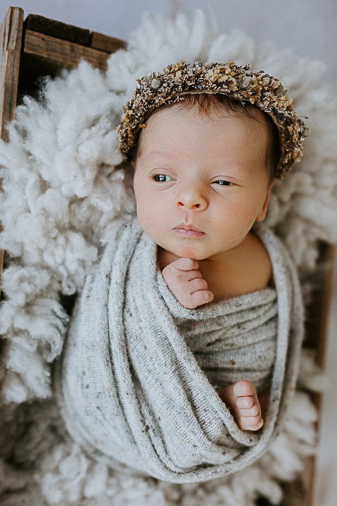 Newborn baby maternity pregnancy gold coast brisbane photogtrapher photography photos baby babies children Tanha
