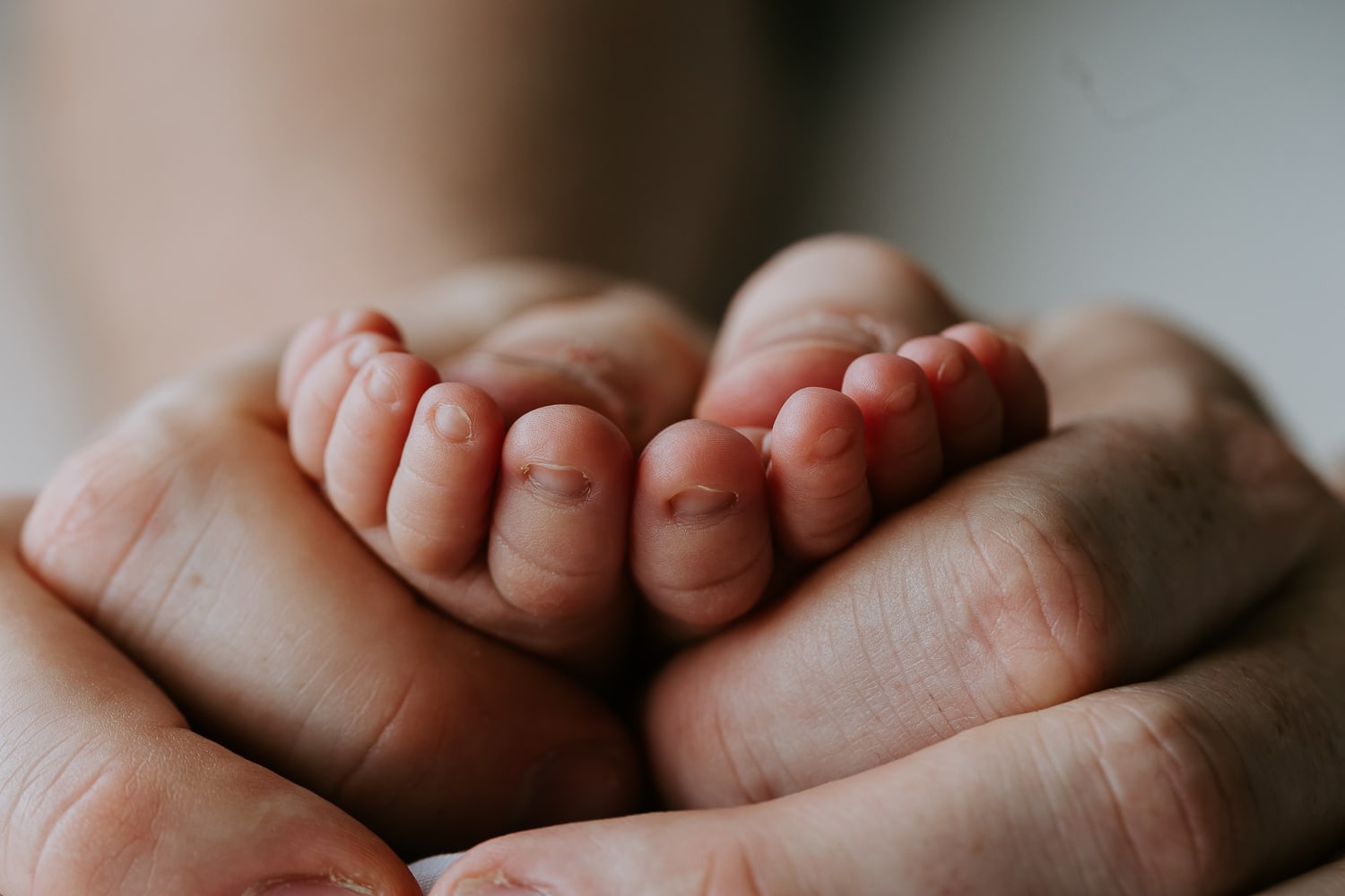 newborn baby family child pregnancy maternity birth toddler photos photography photographer photographs gold coast brisbane pindara mater mothers babies infant Winni & Mini Photography tanha