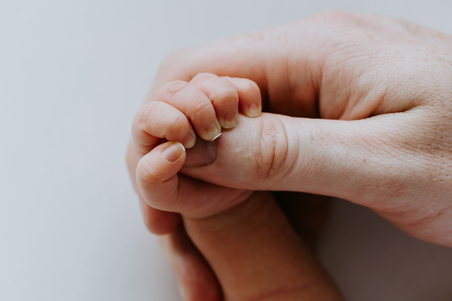 newborn baby family child pregnancy maternity birth toddler photos photography photographer photographs gold coast brisbane pindara mater mothers babies infant Winni & Mini Photography tanha