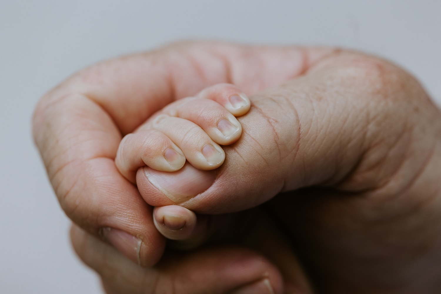 Newborn baby, family, pregnancy, maternity photographer Gold Coast Brisbane. Photography photos Winni & Mini Photography Tanha