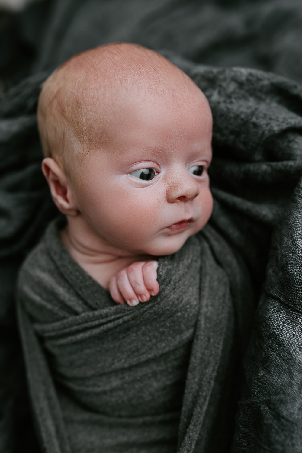 Newborn baby, family, pregnancy, maternity photographer Gold Coast Brisbane. Photography photos Winni & Mini Photography Tanha-1