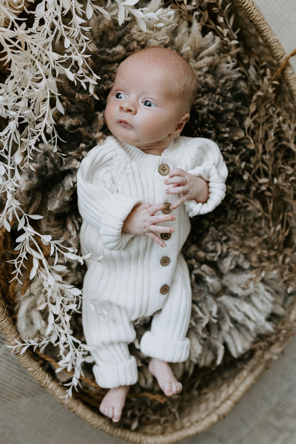 Newborn baby, family, pregnancy, maternity photographer Gold Coast Brisbane. Photography photos Winni & Mini Photography Tanha-1