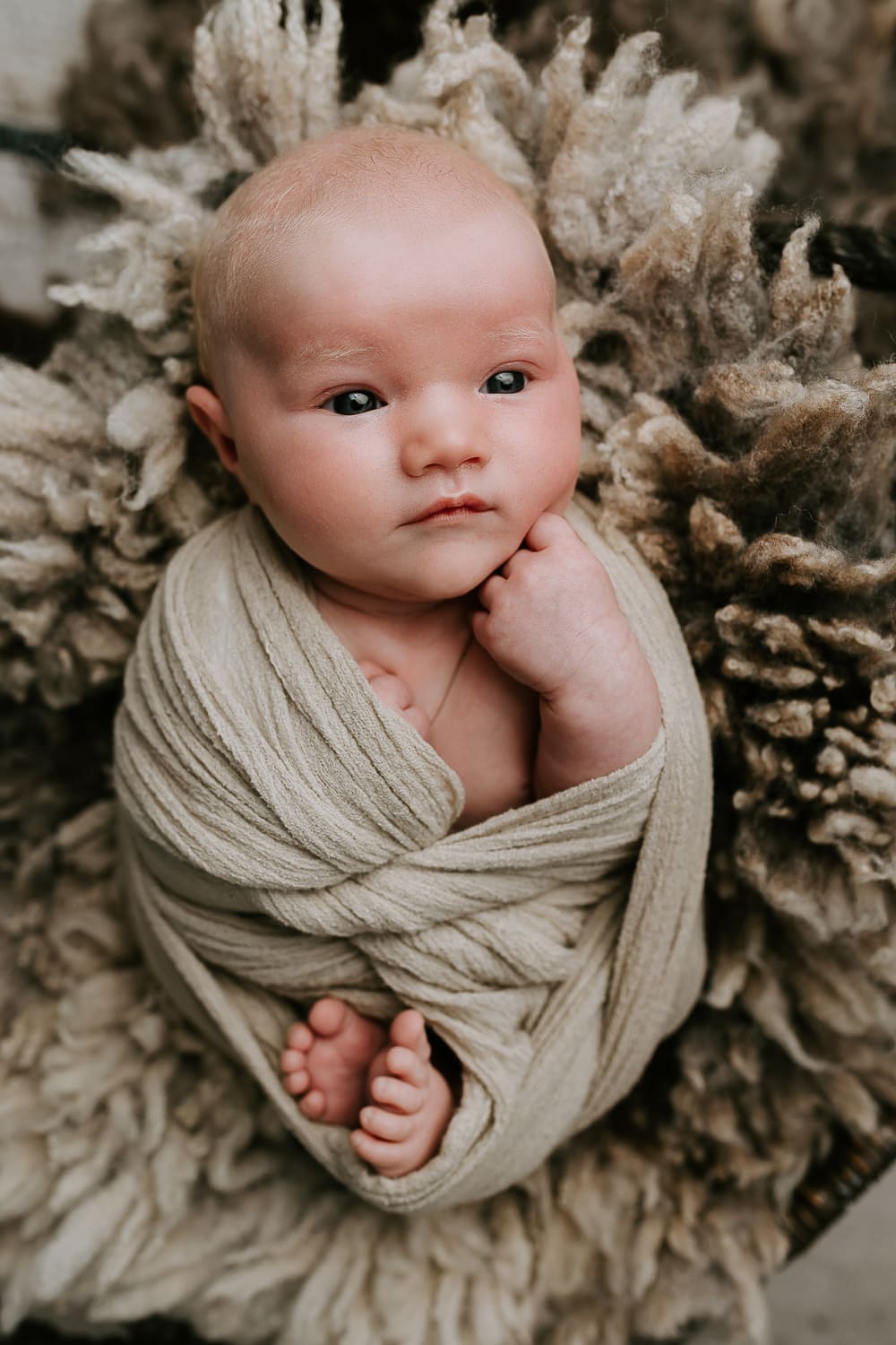 Newborn baby, family, pregnancy, maternity photographer Gold Coast Brisbane. Photography photos Winni & Mini Photography Tanha