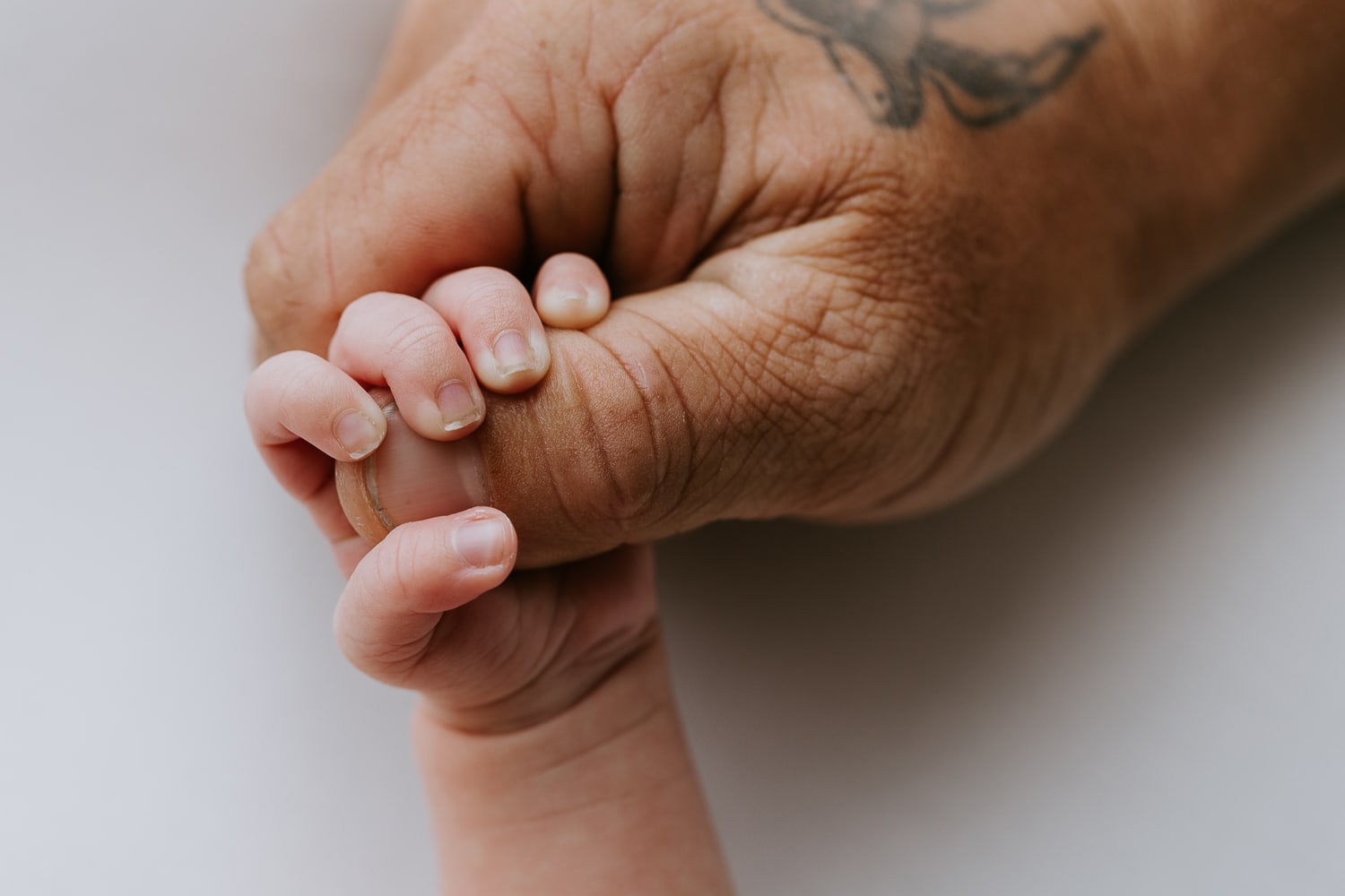 Newborn baby family pregnancy maternity photography photographer gold coast brisbane beach sunset photos Winni & Mini