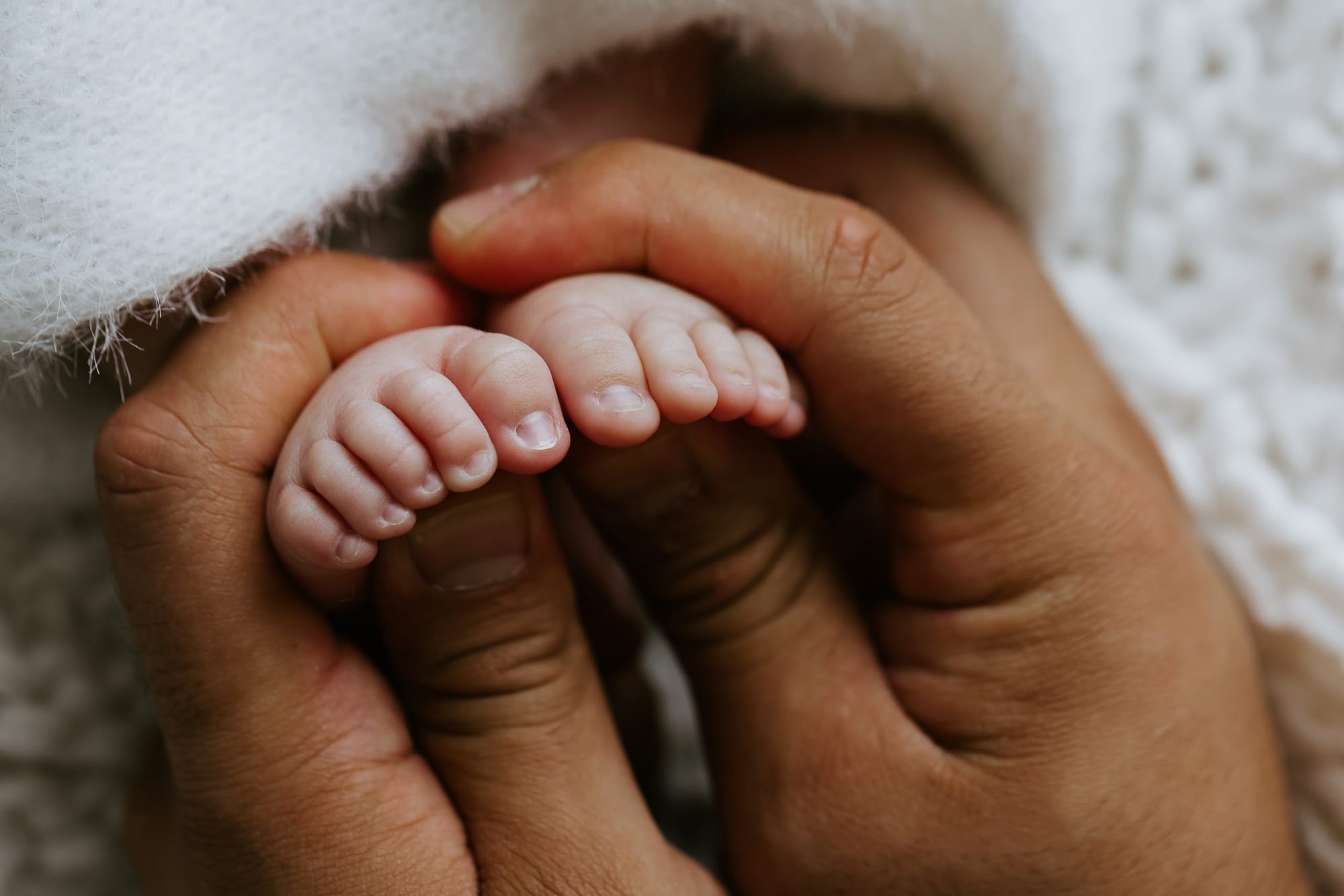 newborn baby family pregnancy maternity gold coast brisbane tanha