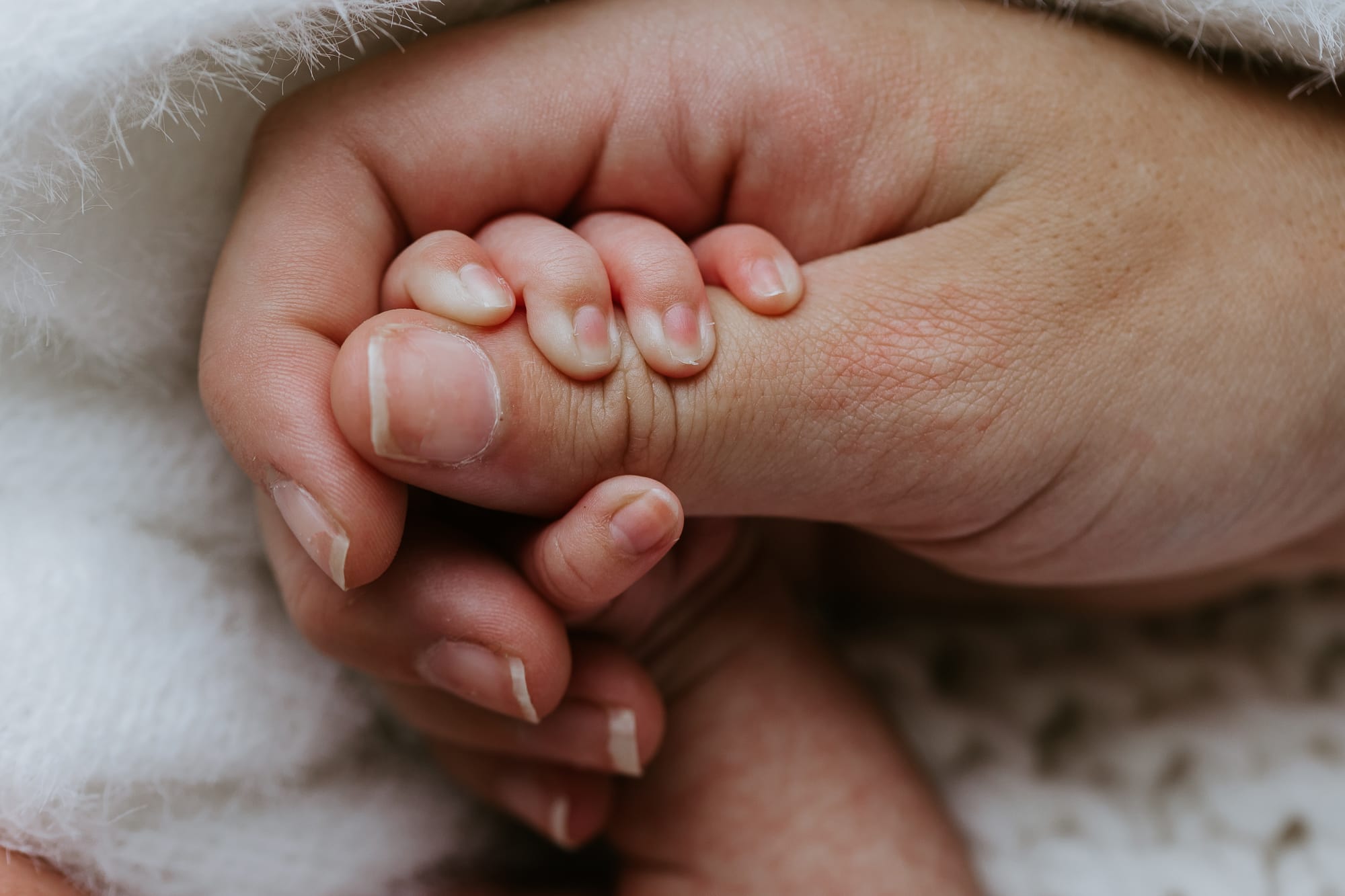 newborn baby family pregnancy maternity gold coast brisbane tanha
