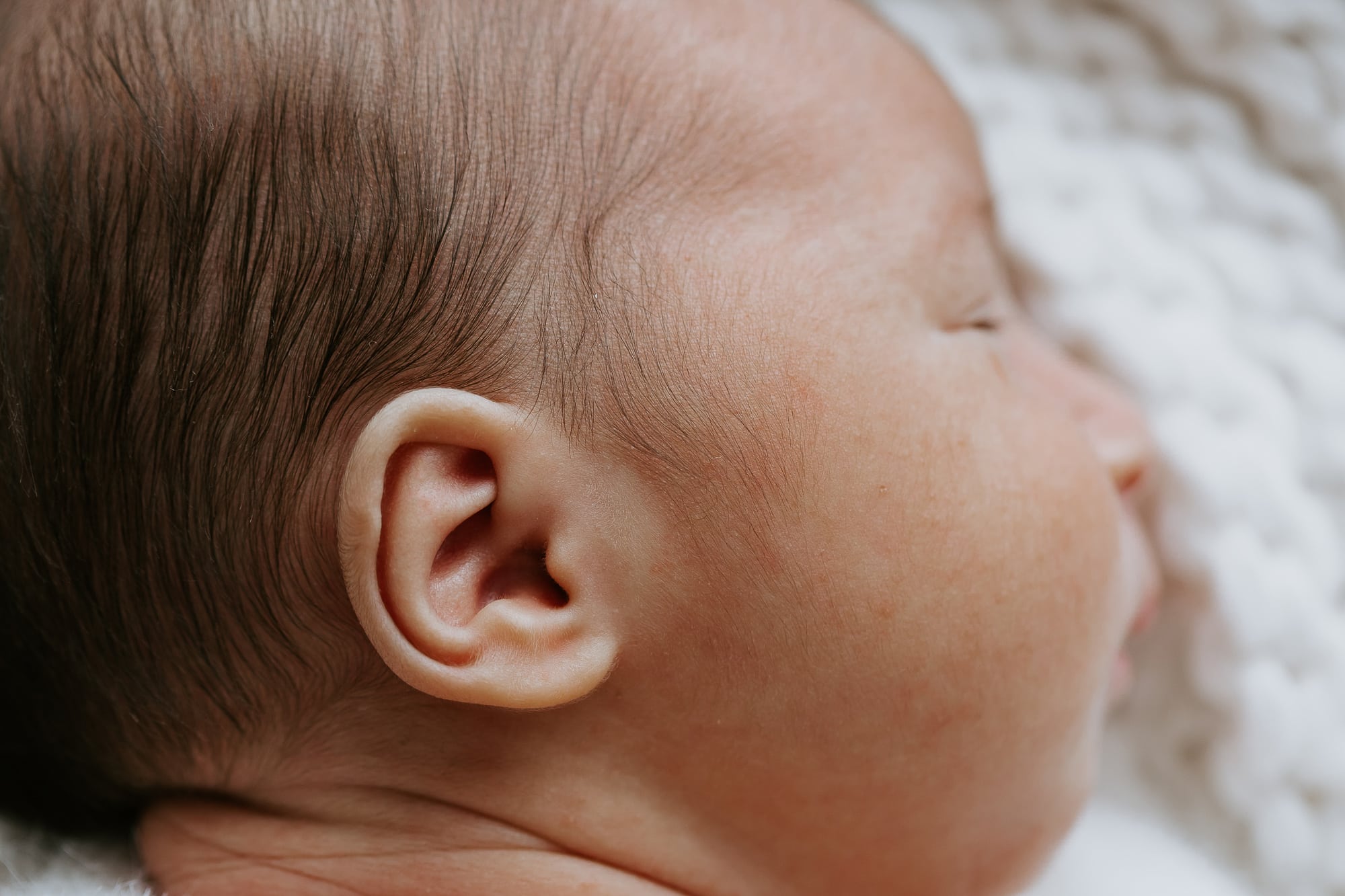 newborn baby family pregnancy maternity gold coast brisbane tanha