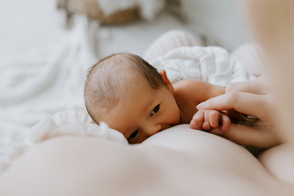 Winni & Mini Photography boudoir newborn baby pregnancy family photography maternity photographer gold coast brisbane siren sessions