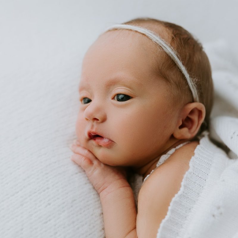 Golden Winni & Mini Photography Newborn family pregnancy