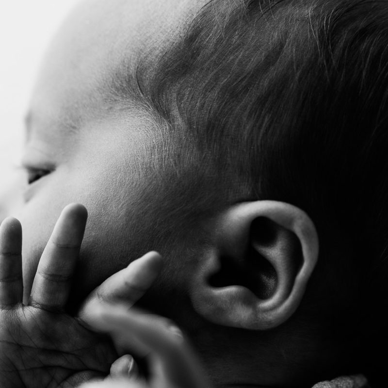 Golden Winni & Mini Photography Newborn family pregnancy