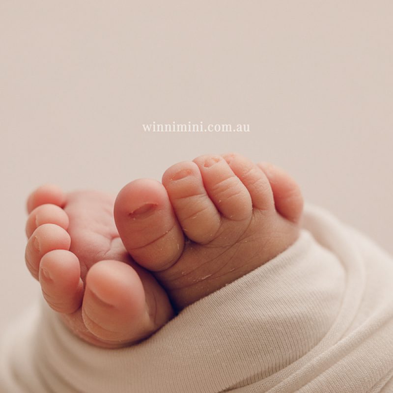 photographer gold coast brisbane babies