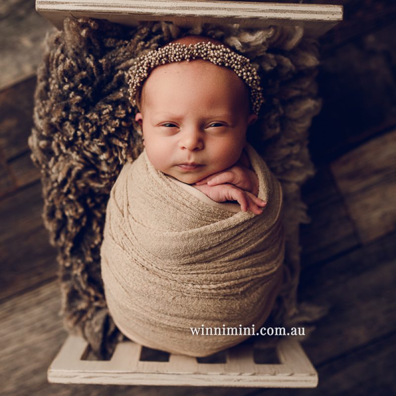 vnewborn baby family photographer gold coast brisbane babies