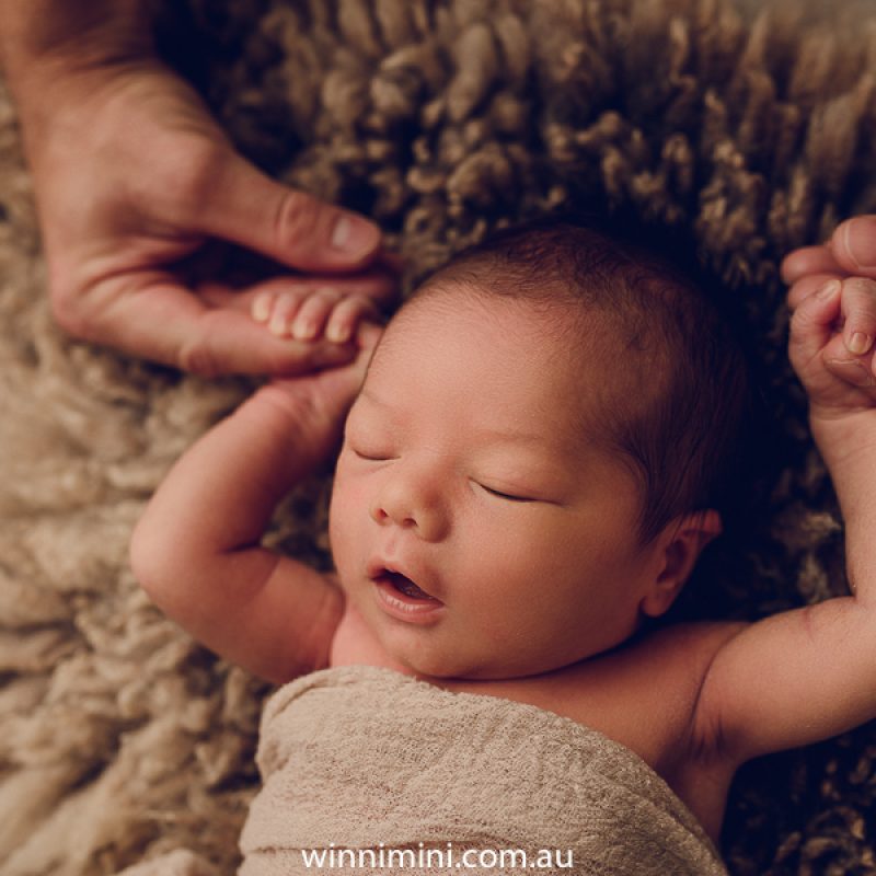 newborn baby family photographer gold coast brisbane babies-1