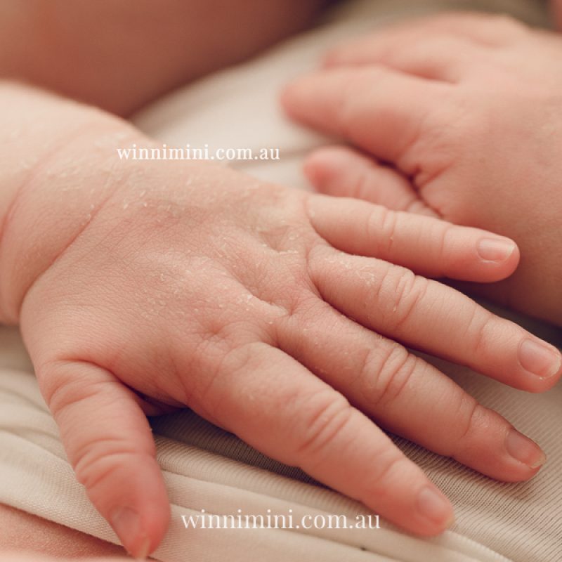 newborn baby family photographer tanha photography photograph photos photo babies gold coast brisbane the best family picture pictures tanha basile winni mini