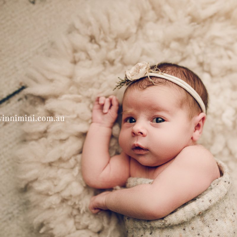 newborn baby family photographer photography photograph photos photo babies gold coast brisbane the best family picture pictures tanha basile winni mini