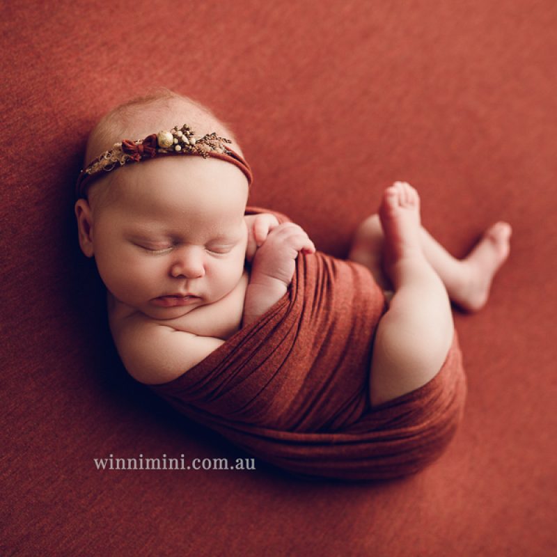 babies newborn baby family photographer photography photograph photos photo babies gold coast brisbane the best family picture pictures tanha basile winni mini