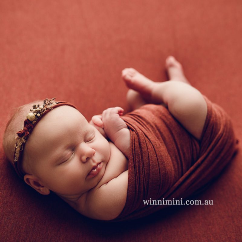 babies newborn baby family photographer photography photograph photos photo babies gold coast brisbane the best family picture pictures tanha basile winni mini