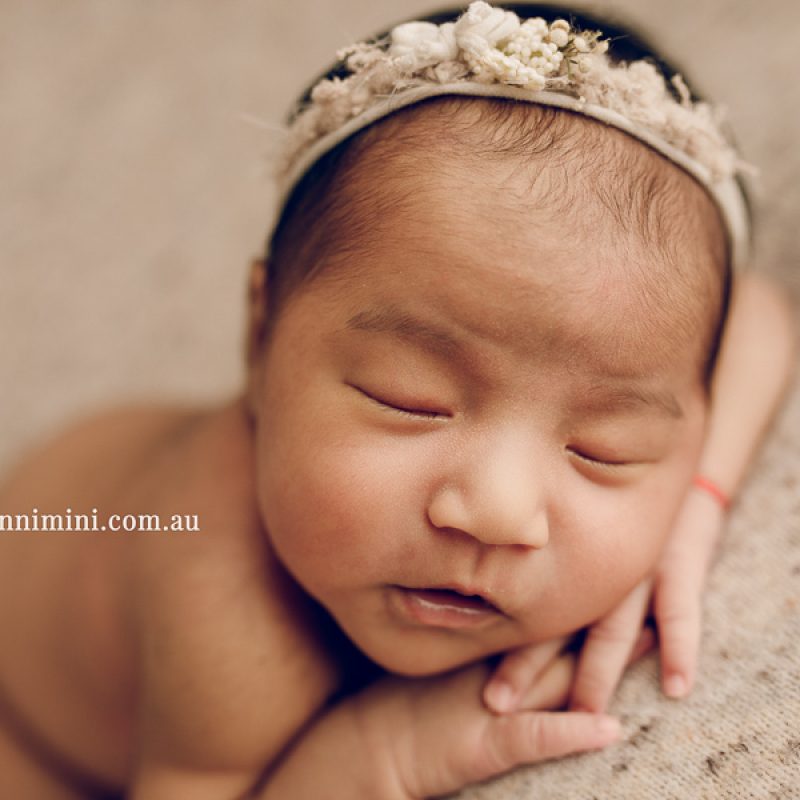 newborn baby family photographer tanha photography photograph photos photo babies gold coast brisbane the best family picture pictures tanha basile winni mini