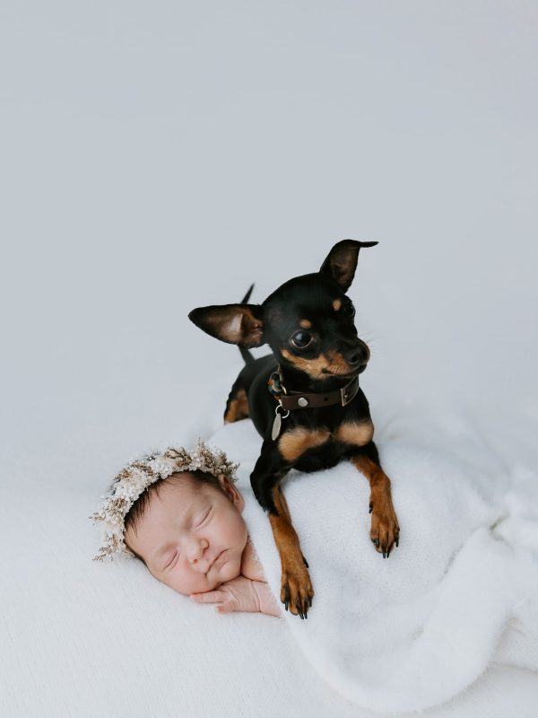 newborn baby family pregnancy maternity gold coast brisbane tanha-9 newborn baby family pregnancy maternity gold coast brisbane tanha