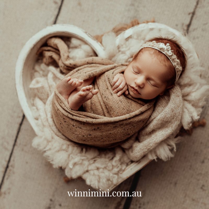 newborn family baby family photos photography pindara bunting obstetrician